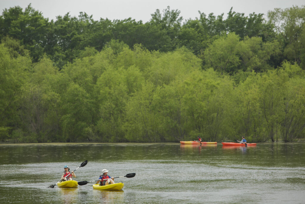 The best spots in Dallas-Fort Worth for paddleboarding