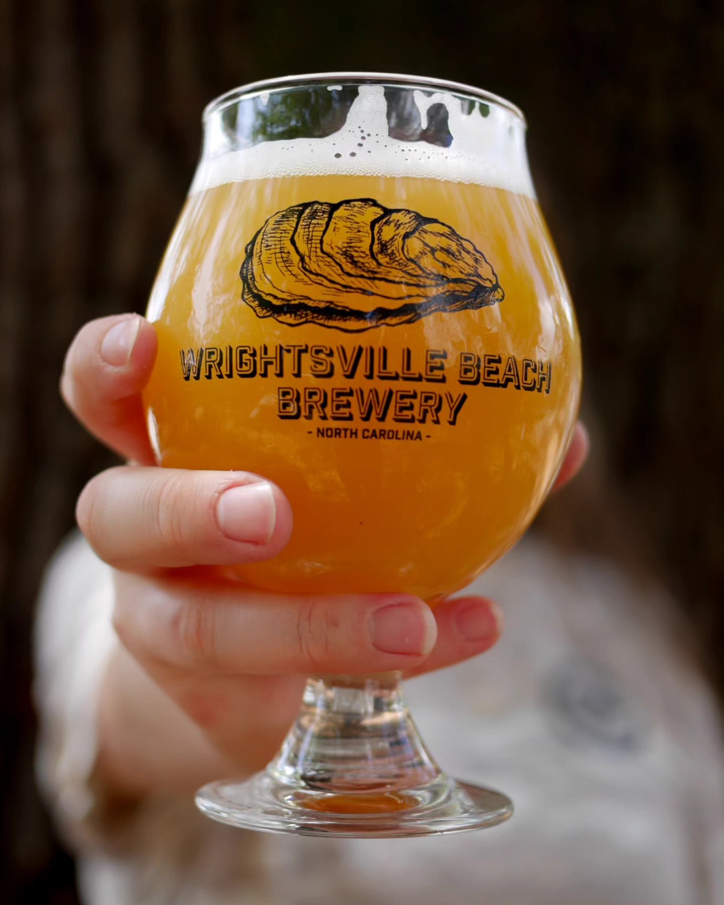 10 NC breweries that do more than make great beer