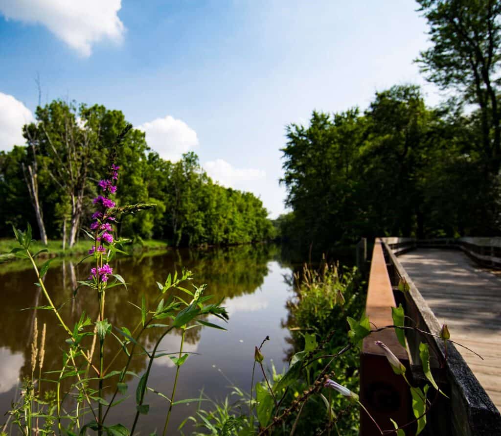 Your Guide to the Best Hikes Around Lansing, MI