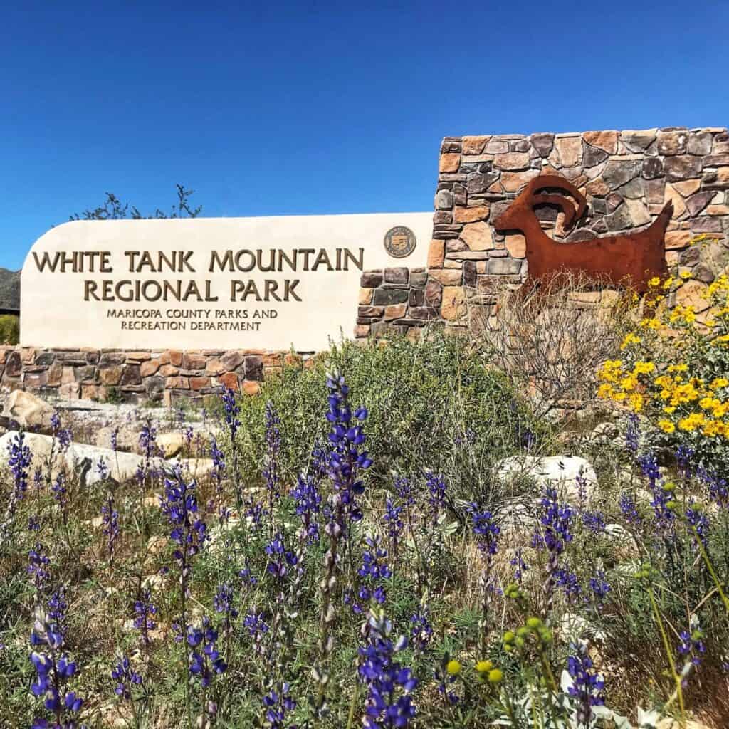 White Tank Mountain Regional Park sign