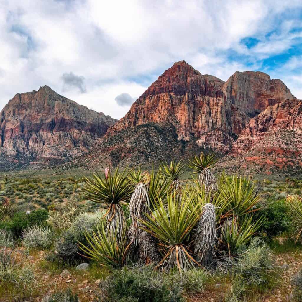 Las Vegas desert and mountains