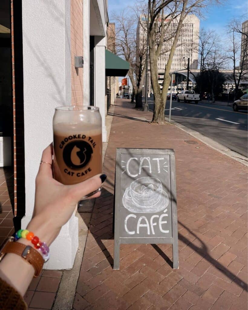 iced coffee and cat cafe sign