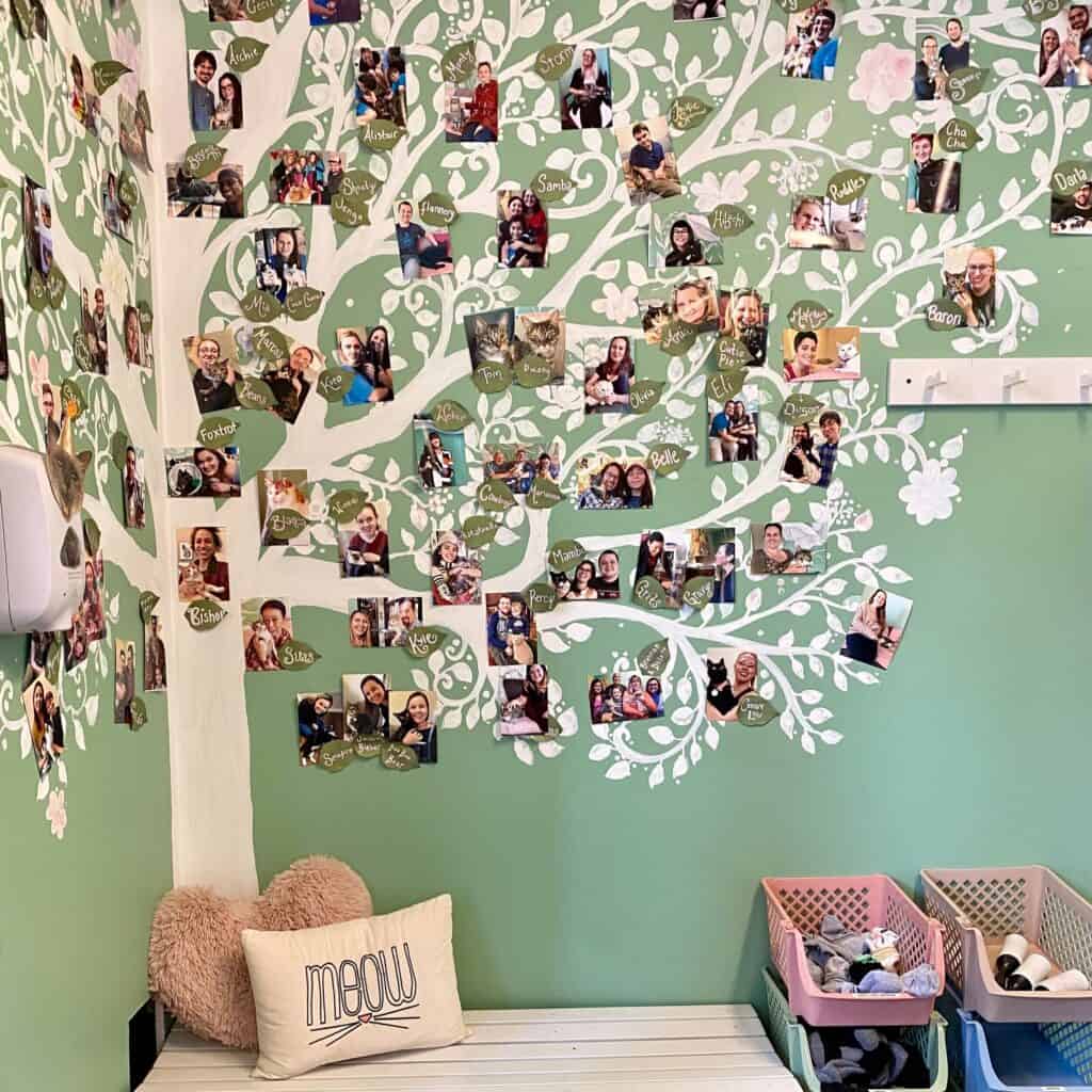 photo tree inside Cat Tales Cat Cafe