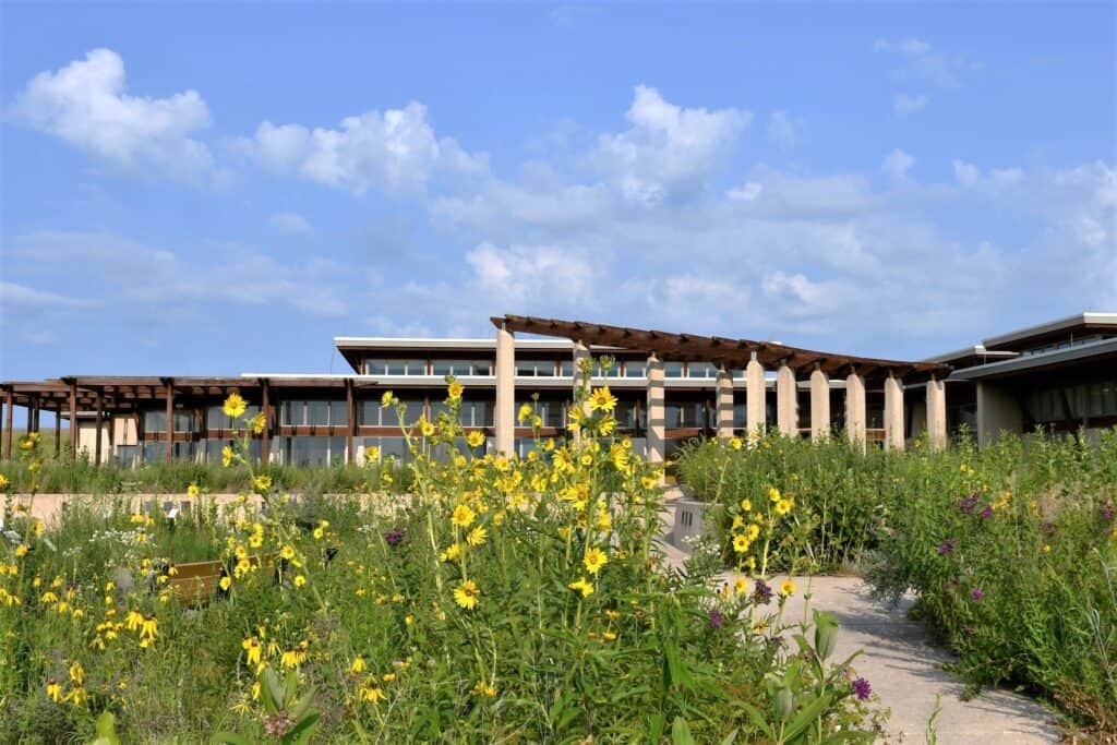 flowers outside Neal Smith National Wildlife Refuge