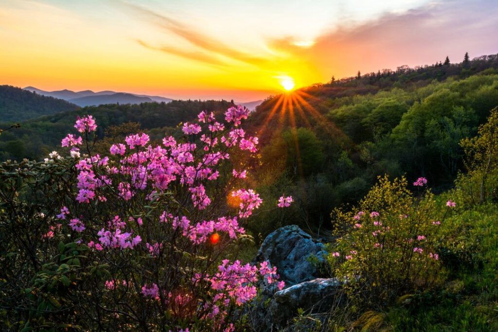 sunrise from the Black Balsam Area of the Blue Ridge Parkway in the Pisgah National Forest