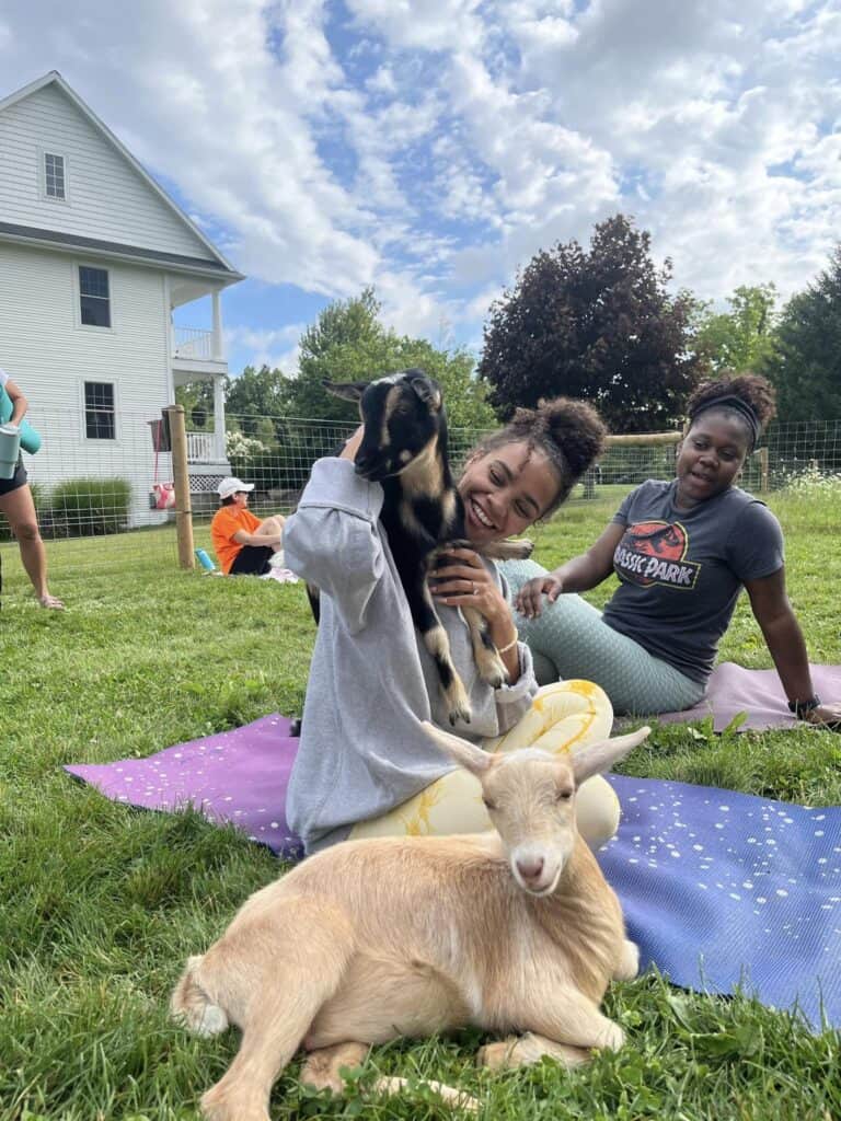 Get baaa-lanced practicing goat yoga in Michigan 