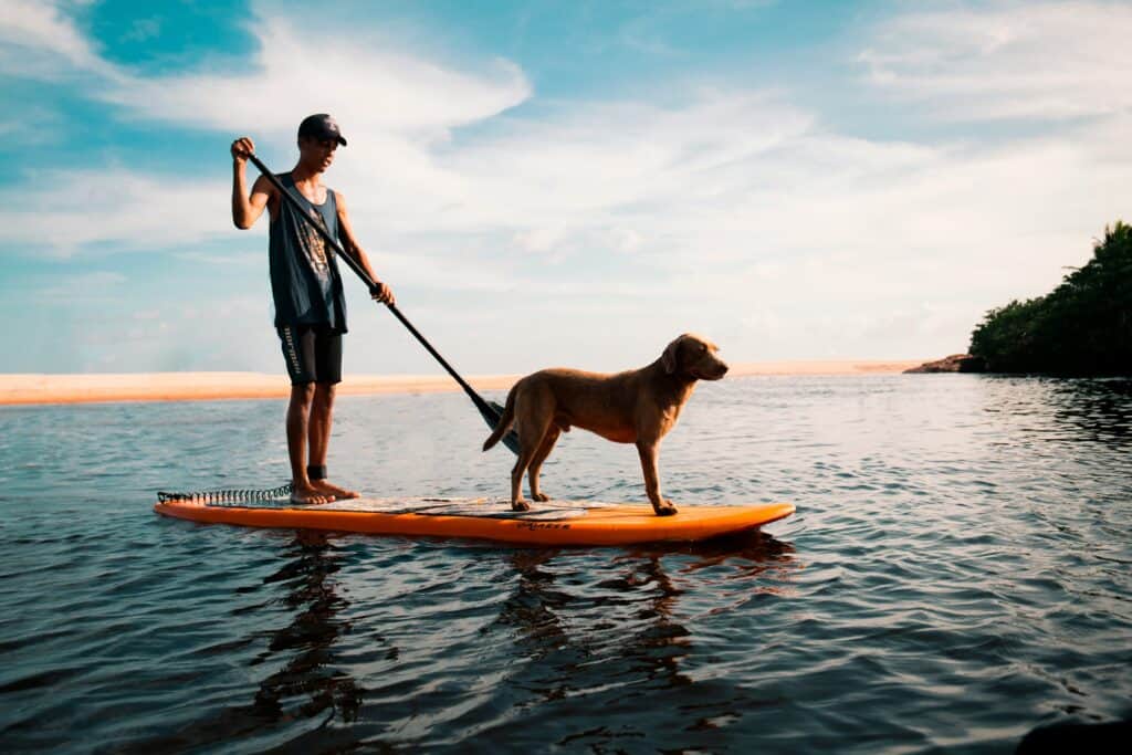 Your guide to stand-up paddleboarding in Western Michigan