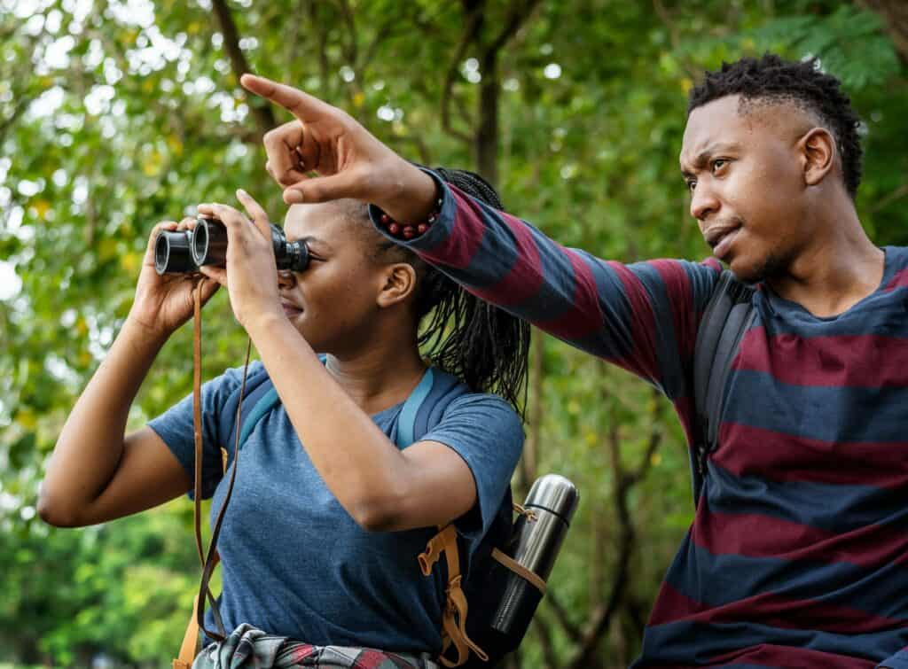 Feathered Farewell: What to know about Iowa’s fall bird migrations