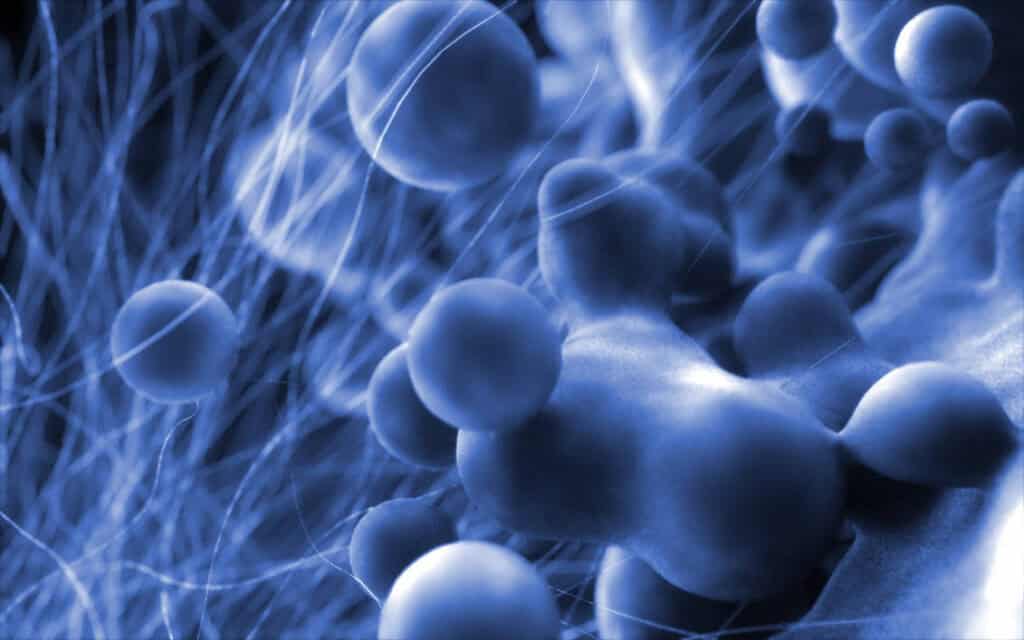 U of A Researchers Develop the World’s Fastest Electron Microscope