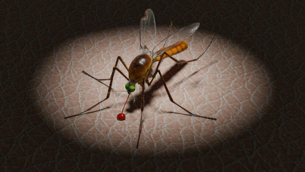 Detroit Health Officials Warn of West Nile Virus Risk