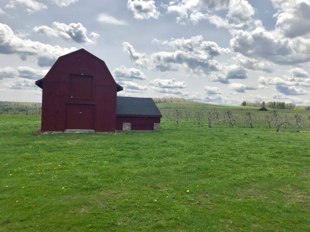 Head to Hollis for the perfect fall day