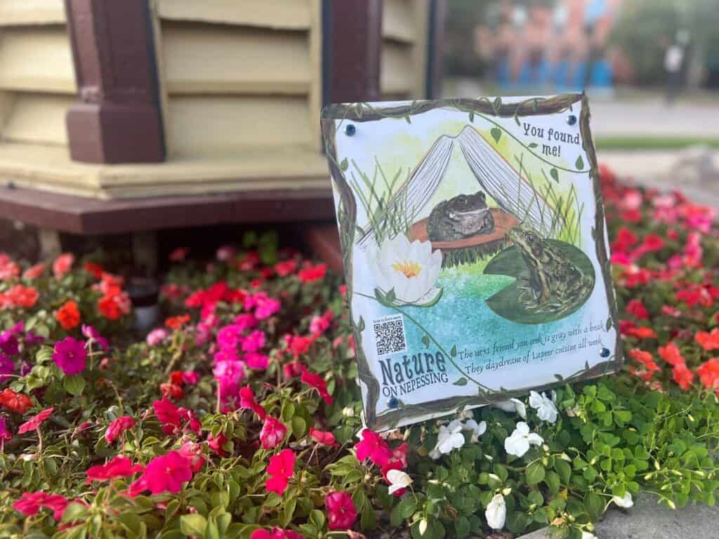 Nature on Nepessing: Follow the clues to see local art in Lapeer