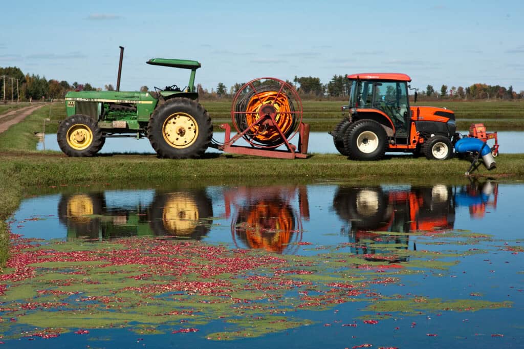 Why fall is the perfect time to take a trip along Wisconsin’s Cranberry Highway