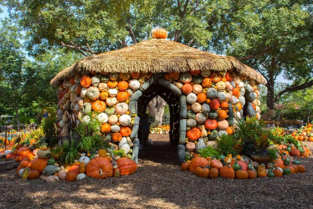 The biggest & best pumpkin patches in Dallas-Fort Worth