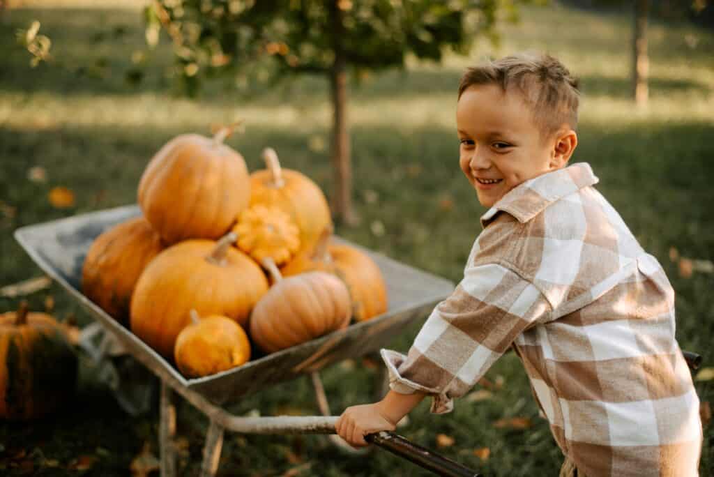 Explore the 10 best pumpkin patches in Iowa