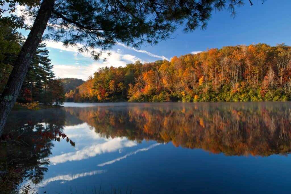 Cozy Waterfront Cabins to Rent in NC This Fall