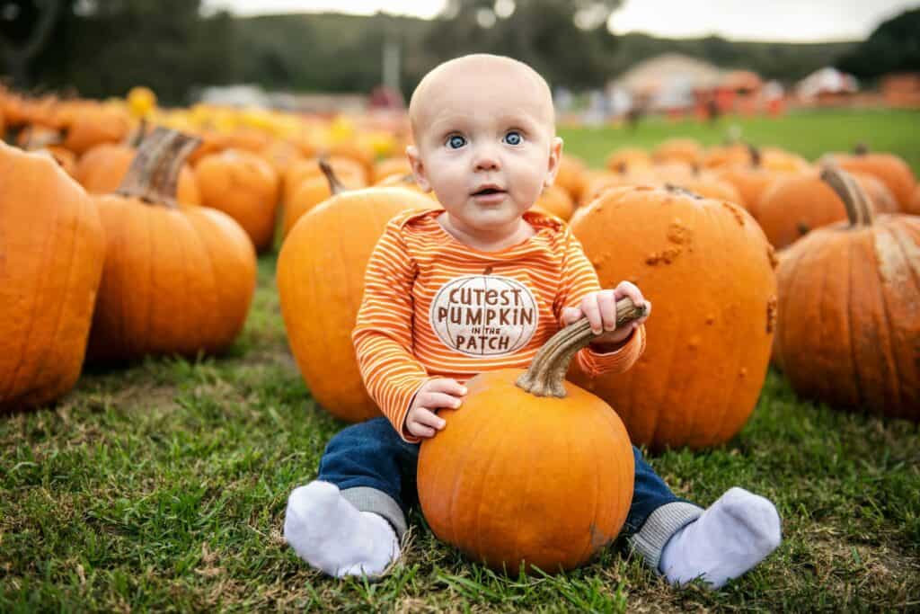 15 biggest & best pumpkin patches in North Carolina