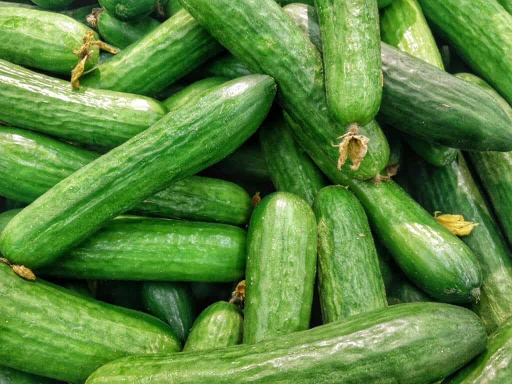 Wisconsin Health Officials Investigate Salmonella Outbreak Linked to Cucumbers