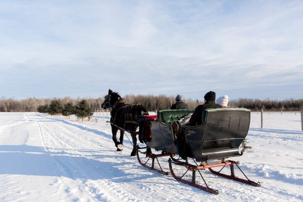 6 places to take horse-drawn sleigh rides in New Hampshire