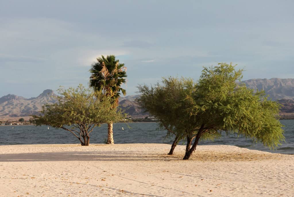 Celebrate 60 Years of Lake Havasu State Park at free event