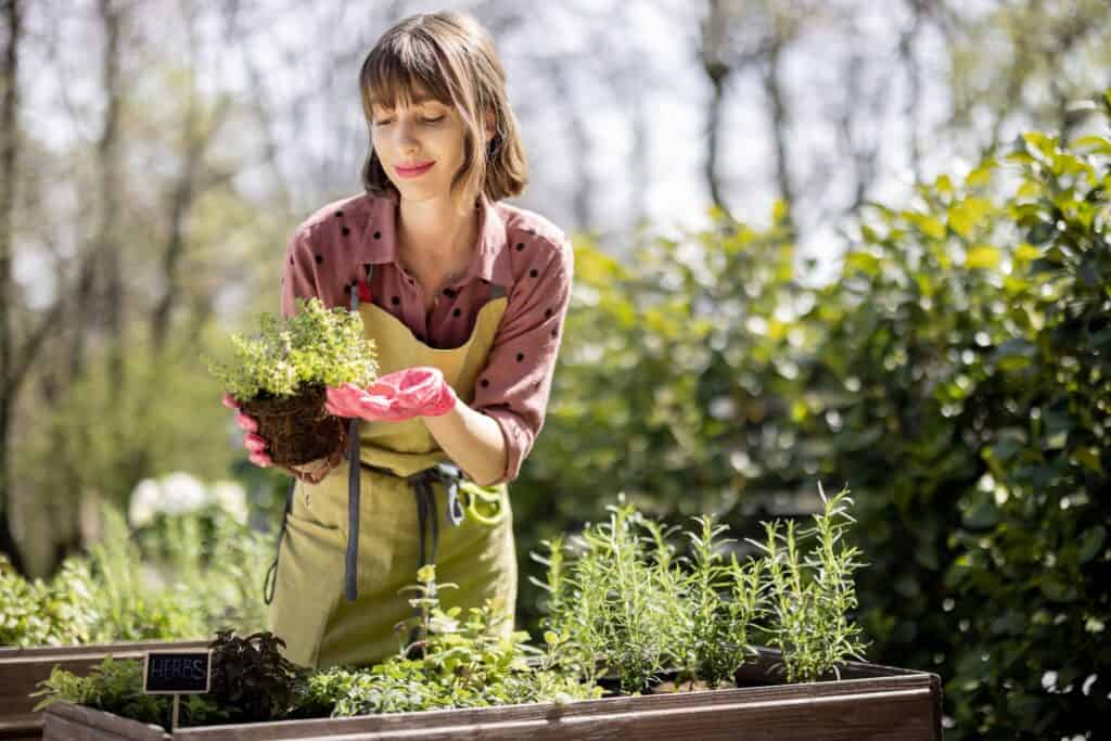 Your guide to container gardening in Virginia