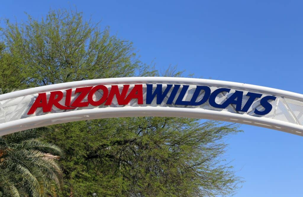 Wildcats wheelchair basketball team celebrates national title win