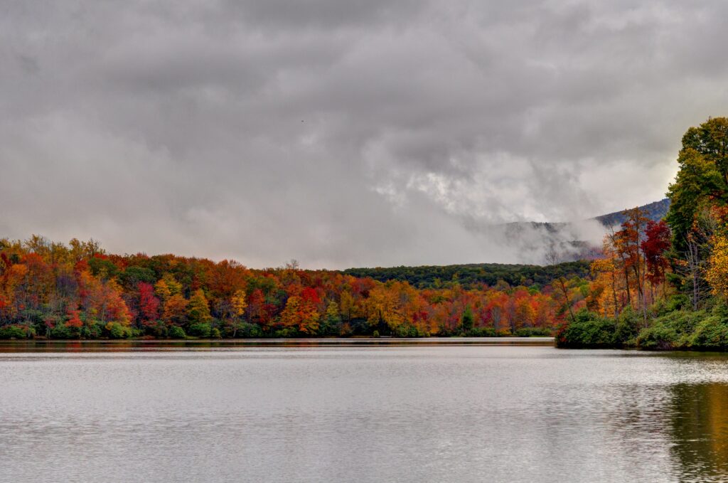 Your 2025 guide to leaf peeping in North Carolina