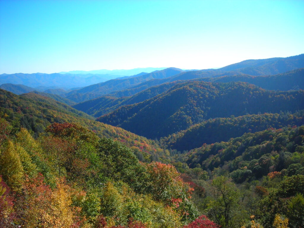 Your 2025 guide to leaf peeping in North Carolina