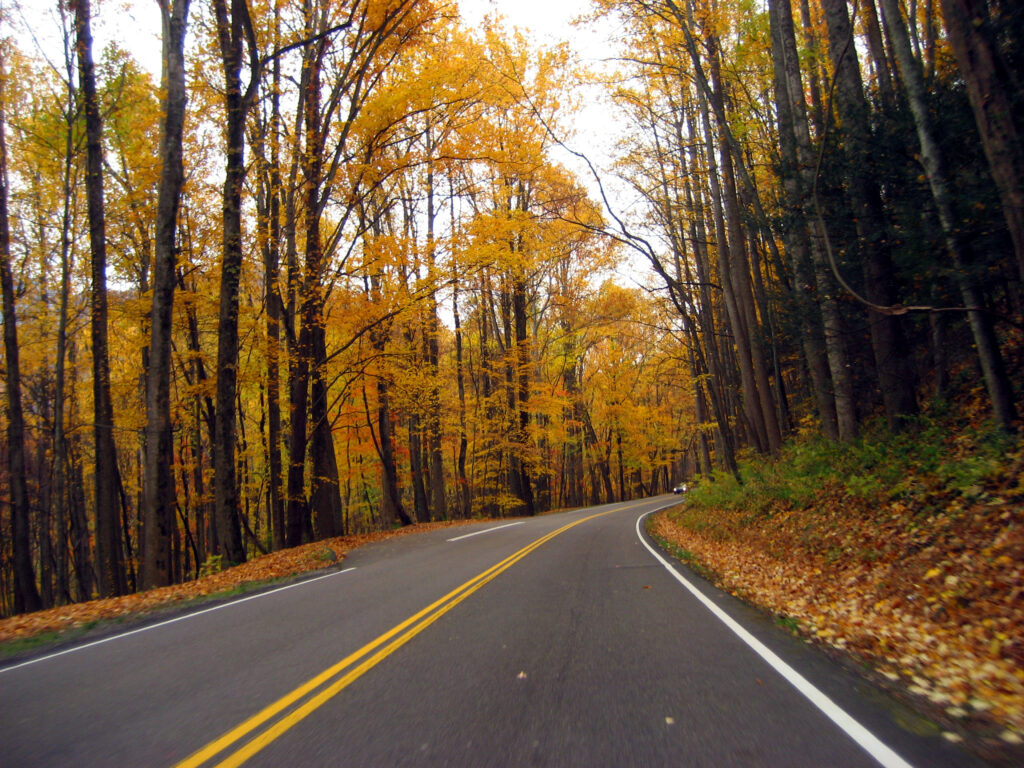 Your 2025 guide to leaf peeping in North Carolina