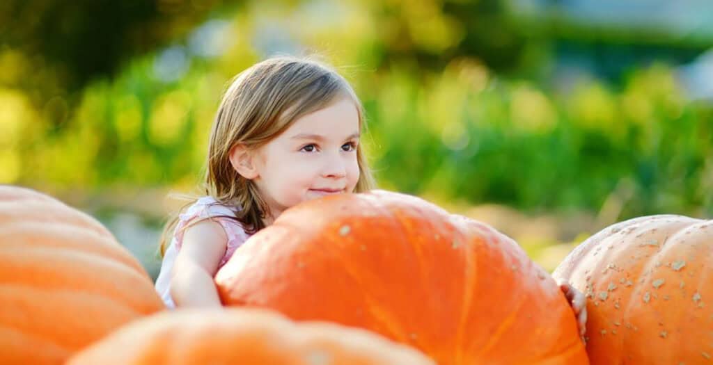 This season, fall for Houston’s best autumn attractions