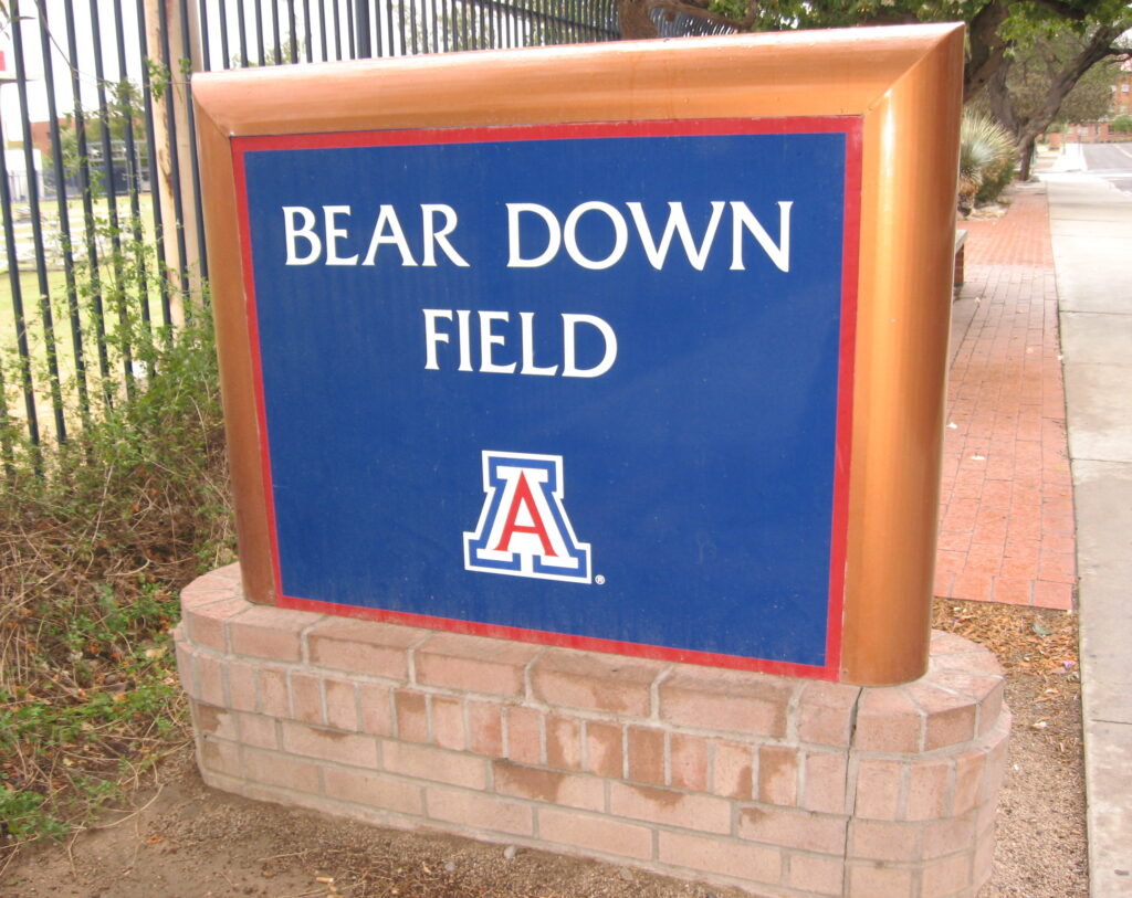 Bear Down x