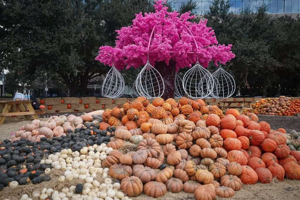 This season, fall for Houston’s best autumn attractions