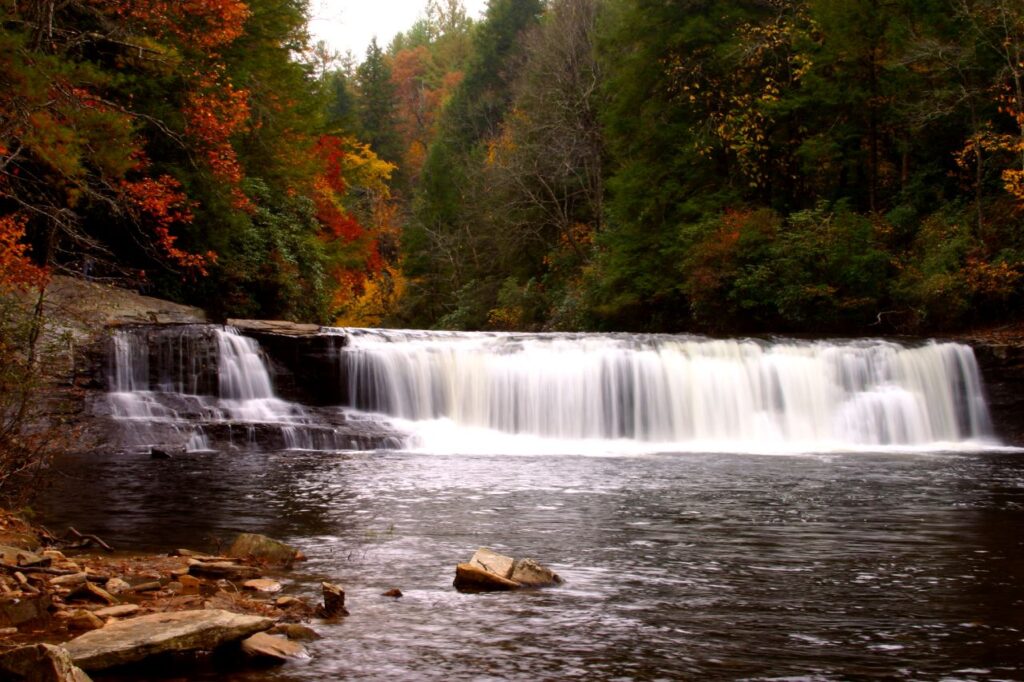 Your 2025 guide to leaf peeping in North Carolina