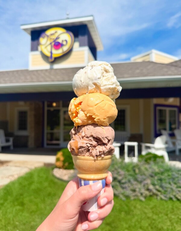 These are the must-try foods at the 2025 Iowa State Fair