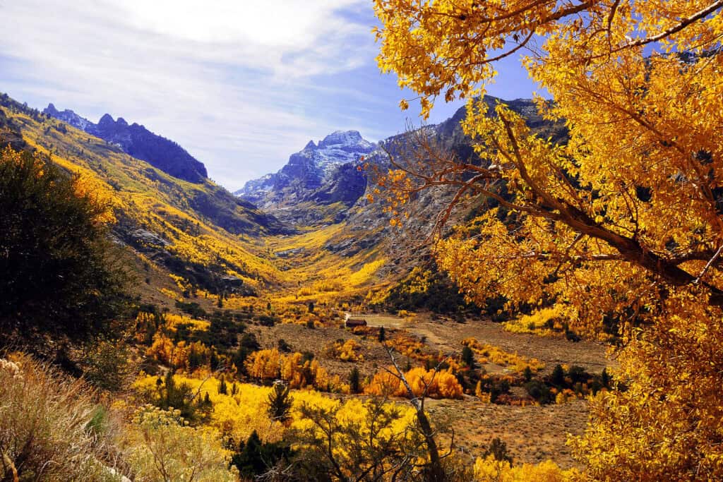 Affordability - The Nevadan