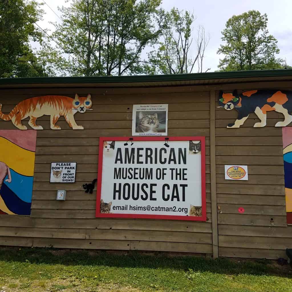 10 things to do in western NC after Helene
