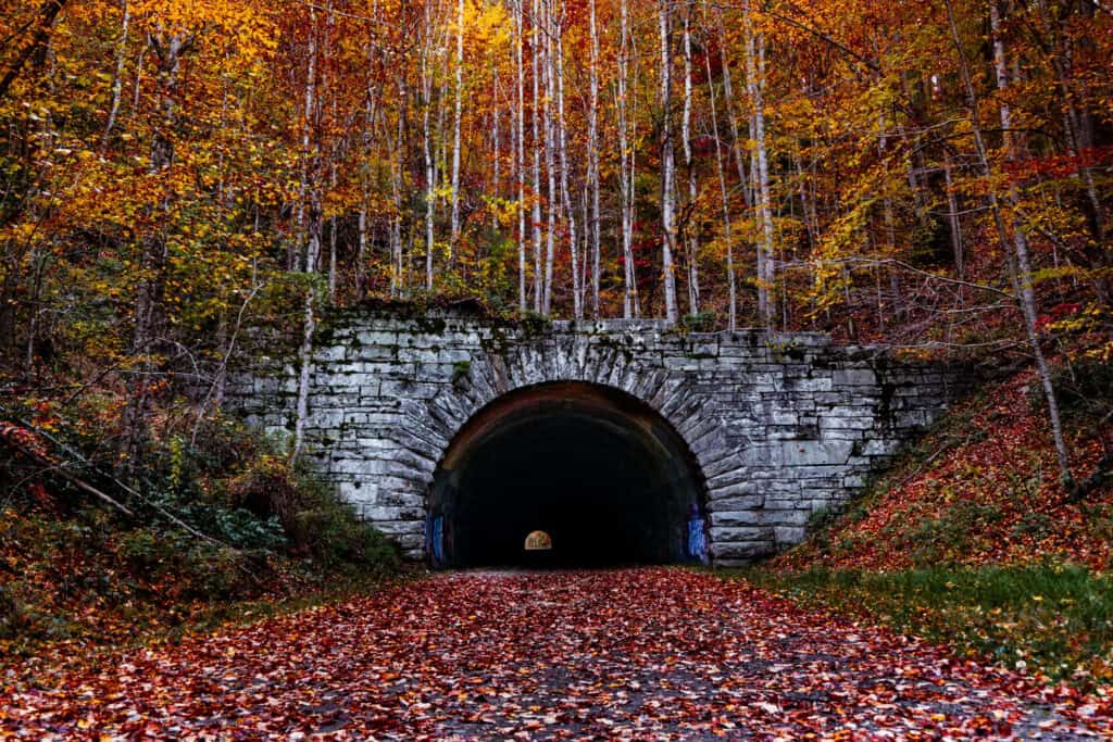 Be dazzled by fall foliage on these scenic drives through North Carolina
