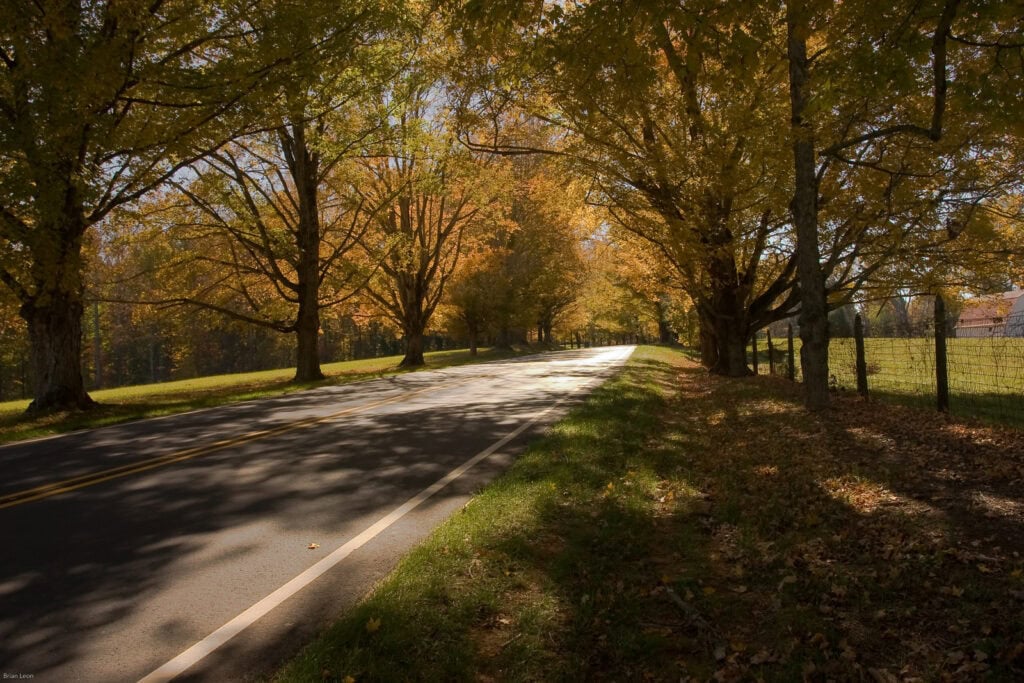 Be dazzled by fall foliage on these scenic drives through North Carolina