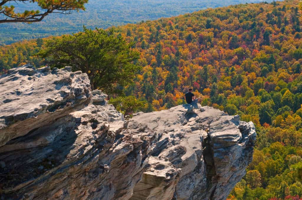 Be dazzled by fall foliage on these scenic drives through North Carolina