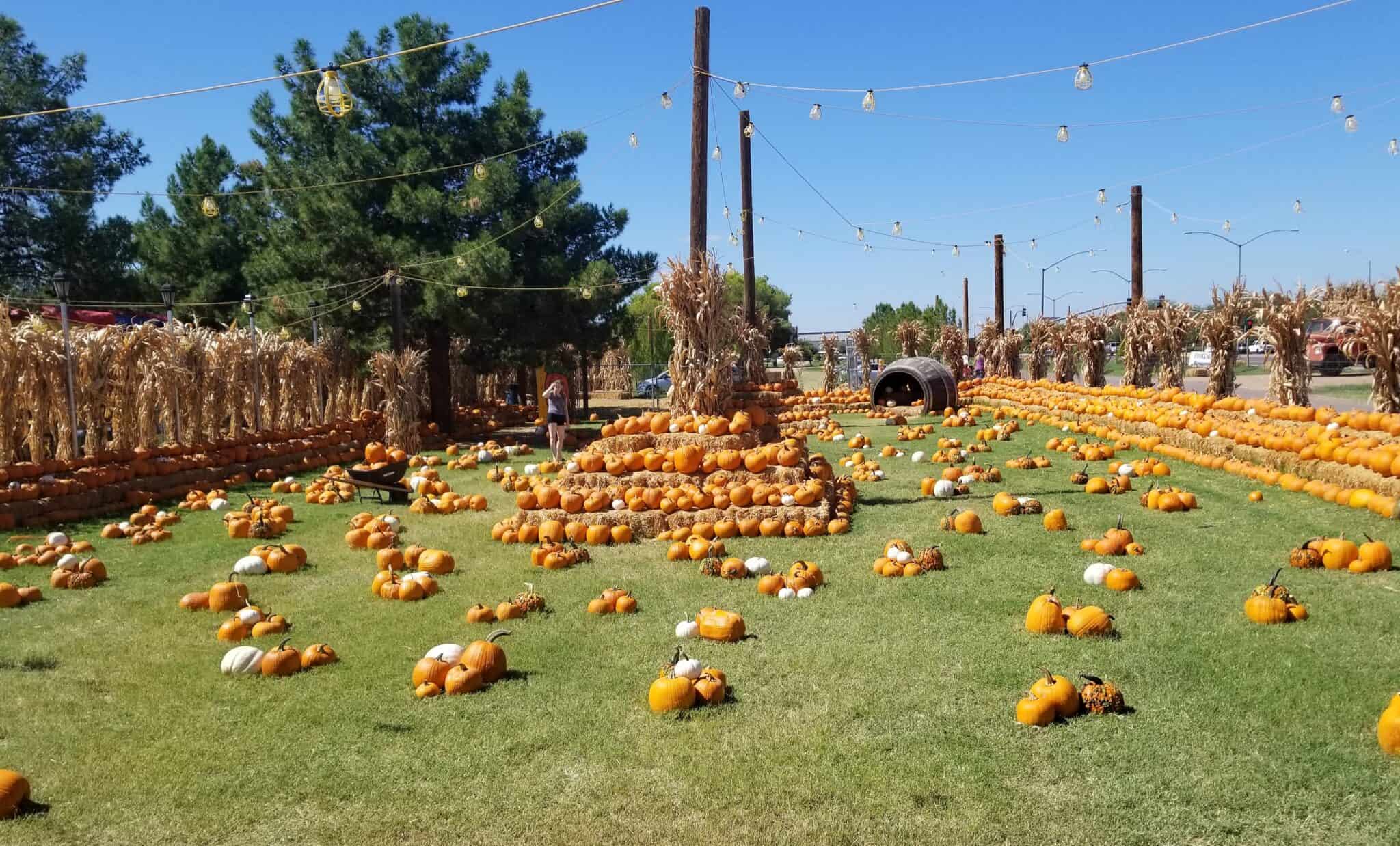 10 farms & festivals perfect for celebrating fall in Phoenix