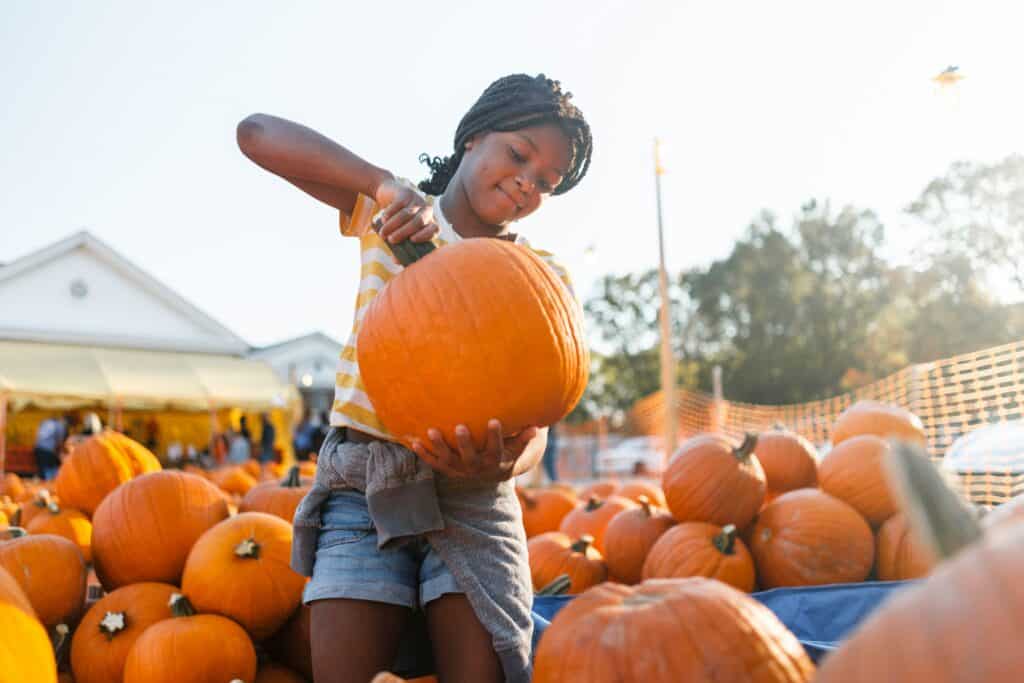 10 Phoenix farms & fall fests offering pumpkins, hayrides & more