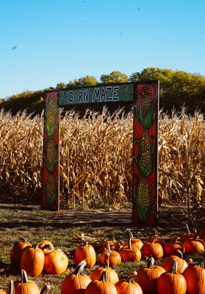 Hayrides, corn mazes, pumpkin patches, and more: Your guide to fall in NH