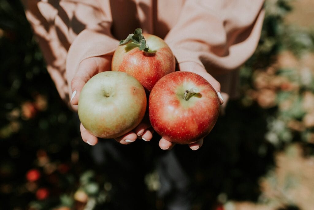 Your 2025 guide to apple picking in Michigan