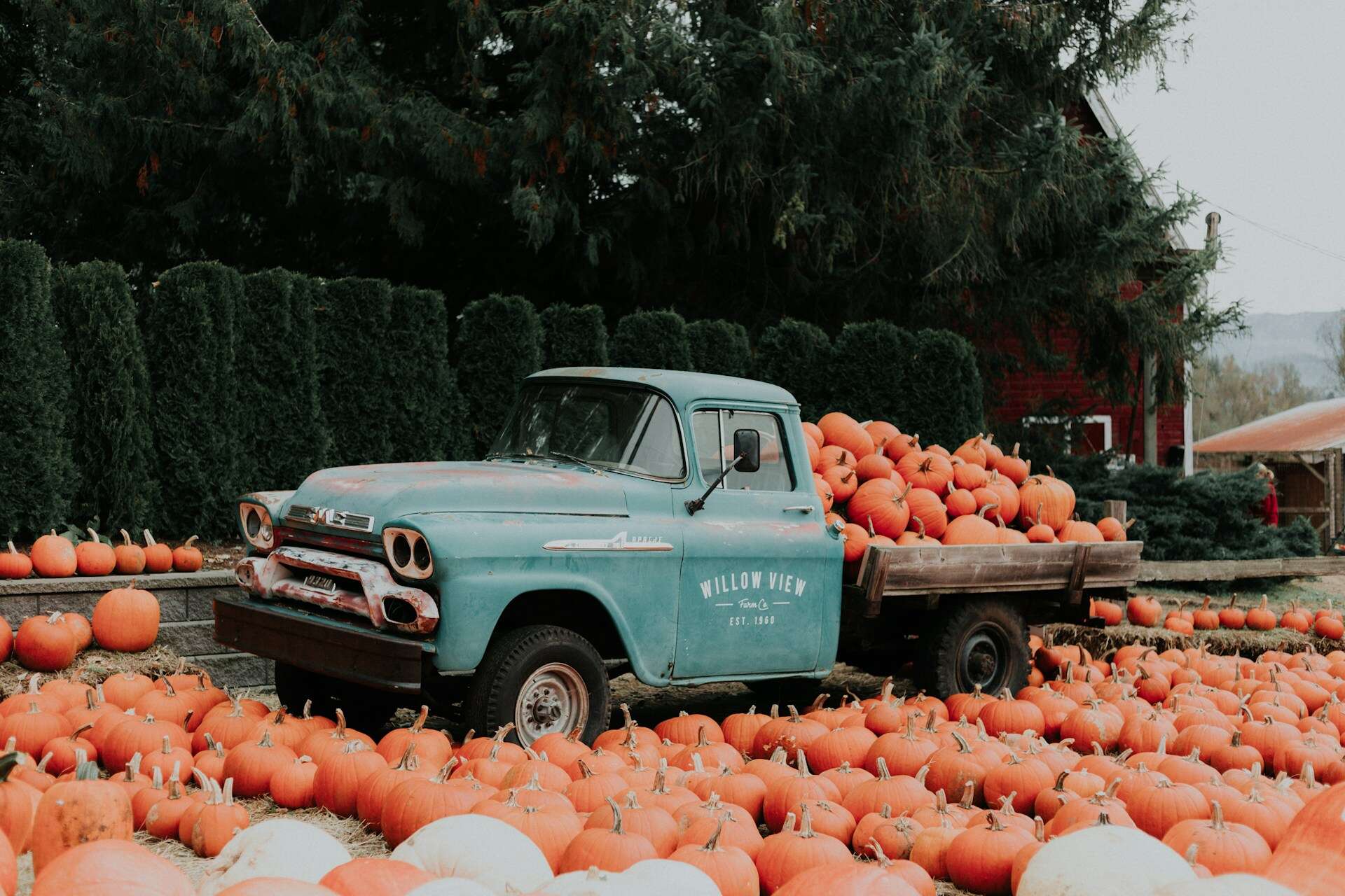Don't miss these 11 fabulous fall festivals in Michigan