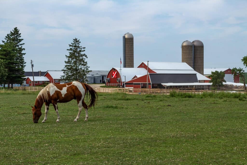 9 Farms in Wisconsin where you can spend the night and experience Agritourism