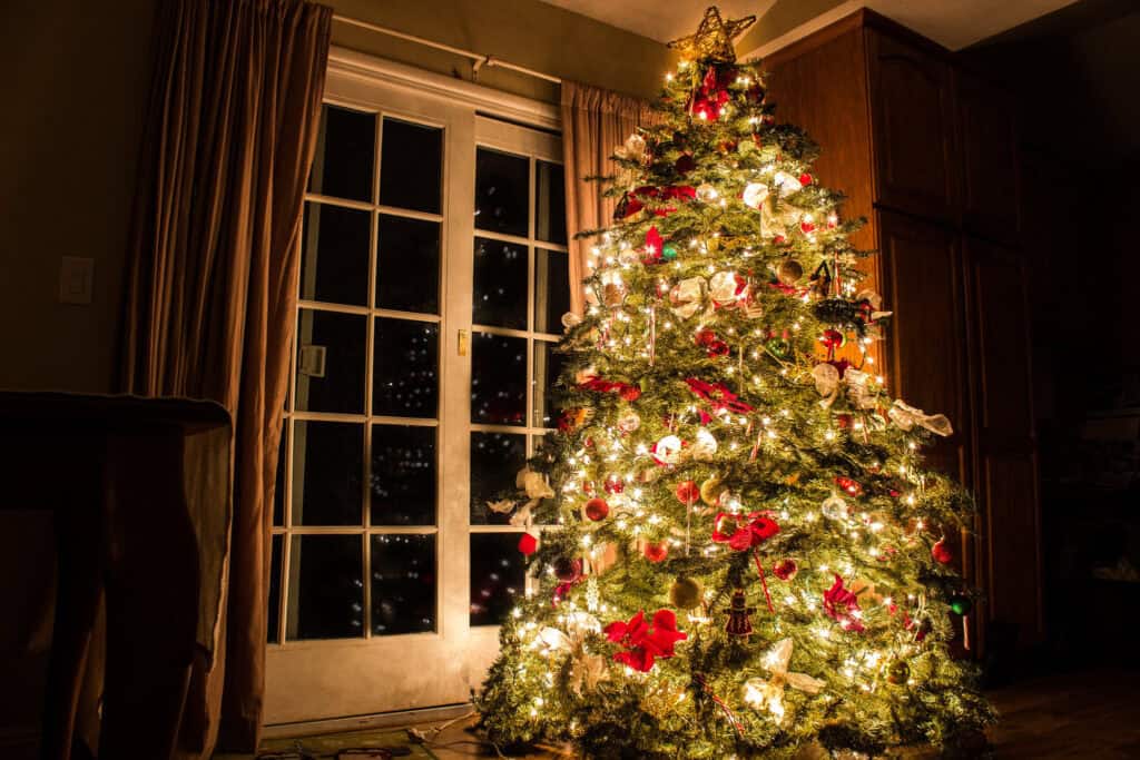 Don’t Trash That Tree! CVWMA Offers Free Recycling Instead