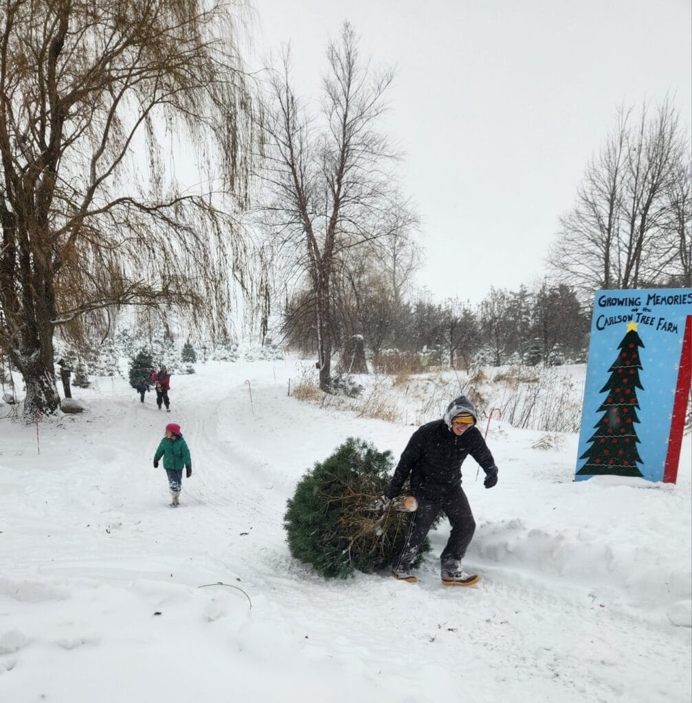 These are the 12 best cut-your-own tree farms in Iowa