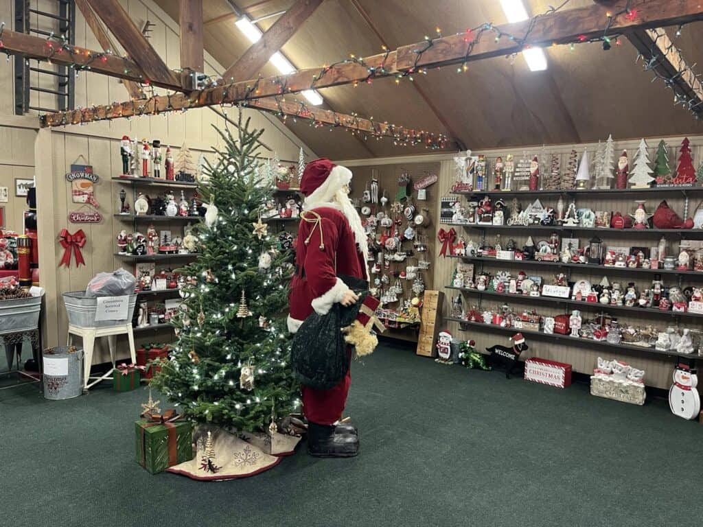 These are the 12 best cut-your-own tree farms in Iowa