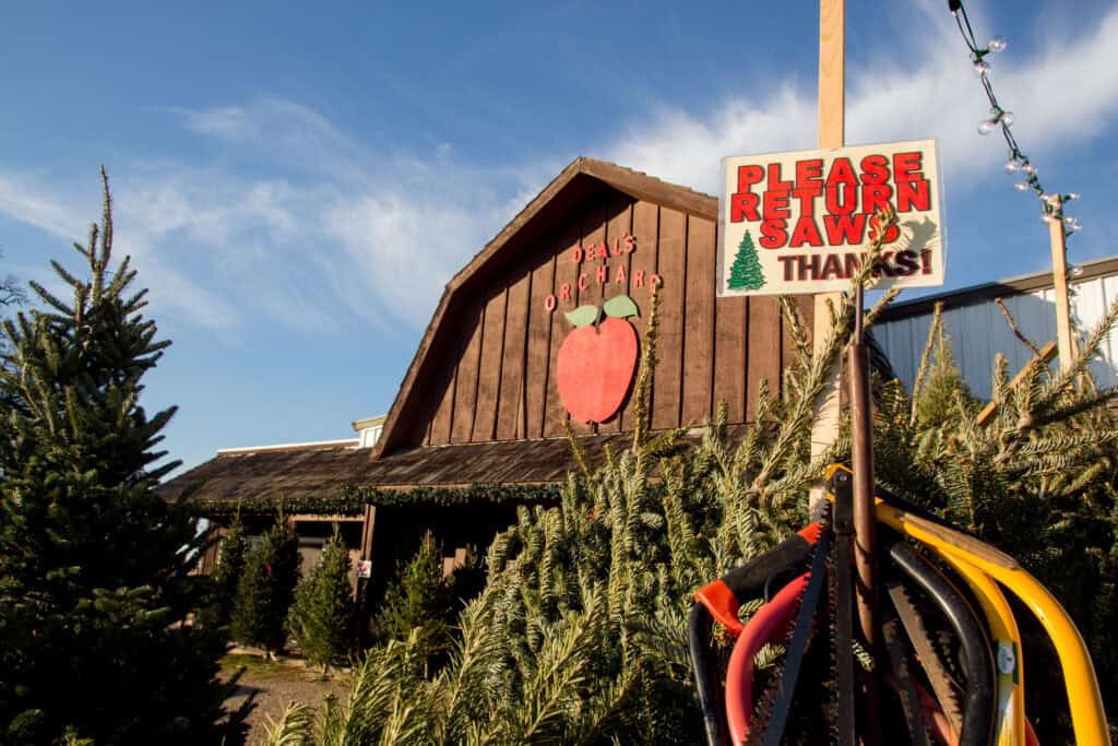 These are the 12 best cut-your-own tree farms in Iowa