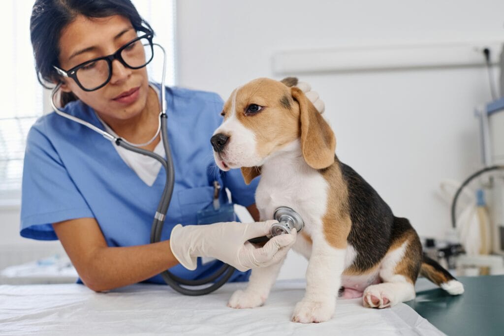 San Antonio invests in compassion: New veterinary hospital approved for the West Side